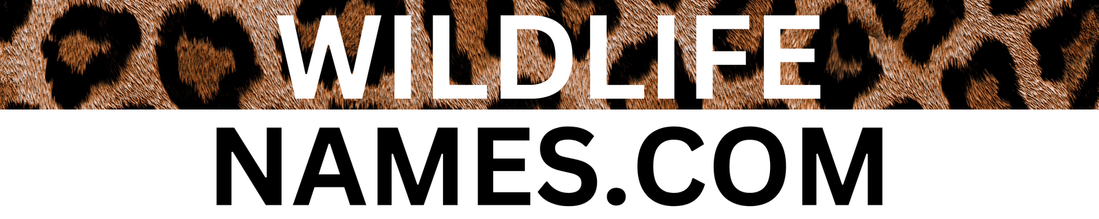 WildlifeNames.com - Premium domains for sale